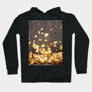 Gold yellow maple leaves autumn fall foliage asphalt road  nature Photograph Hoodie